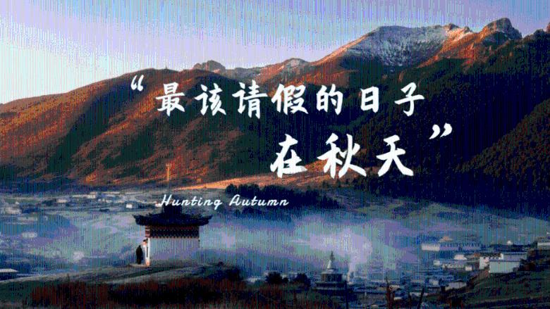 轻松问答，尽在四行玉米播种机宽多少？？蜗牛问答平台